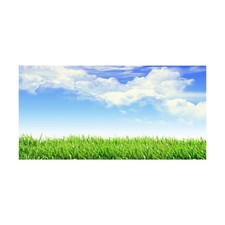 Leyiyi 20x10ft Spring Grassland Photography Background Gardening Plant Meadow...