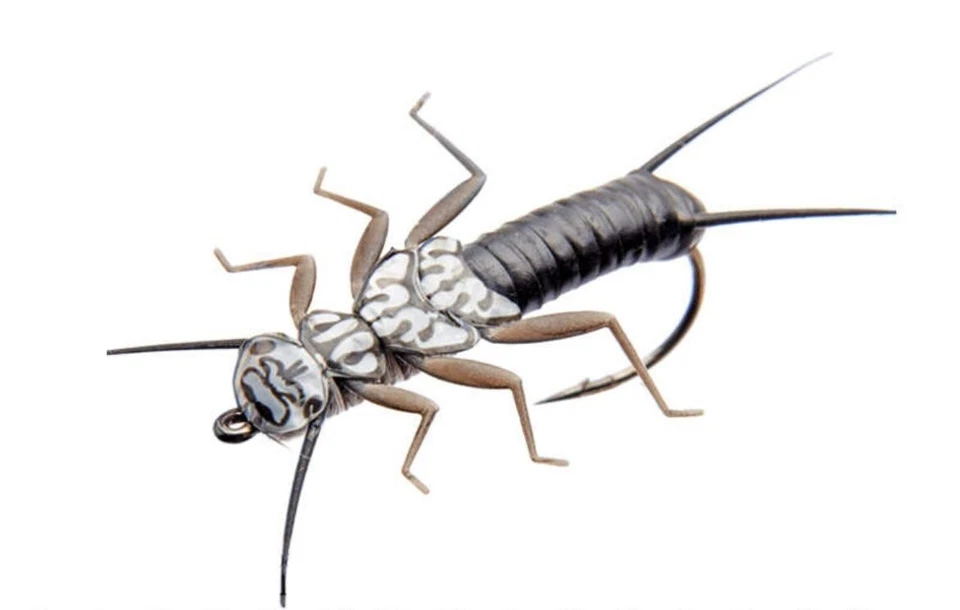 3 Stück Stonefly (32mm) Realistische Steinfliegen-Nymphen zum Fliegenfischen - Bild 4 von 4