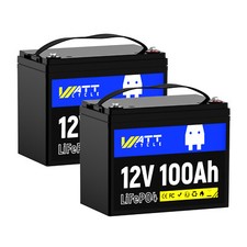 12V 100Ah 200Ah LiFePO4 Lithium Battery 2 Pack Deep Cycle BMS For RV Solar Panel