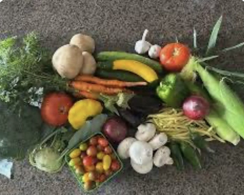 Domain Name Sale.dailybynature.com Daily By Nature. Good Name For Vitamin Brand