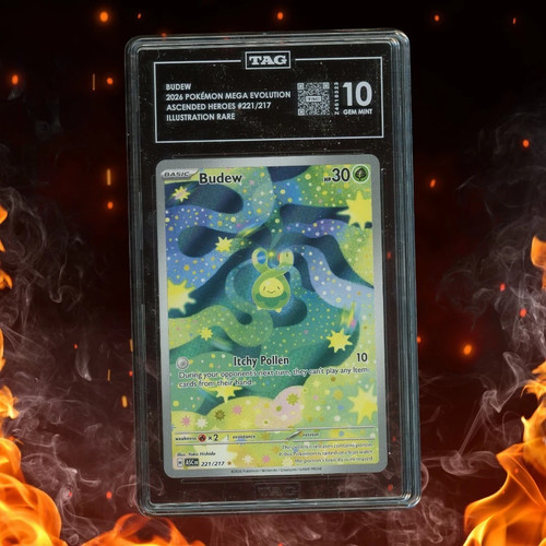 Budew graded TAG 10 for sale on eBay
