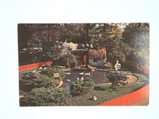 Vintage The Merry Miller Postcard Detroit Zoo Belle Isle Michigan