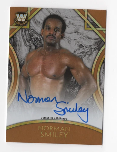 Norman Smiley 2018 Topps WWE Legends Autograph Card Auto WCW Bronze /99