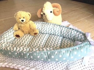 cocoon co sleeper bassinet