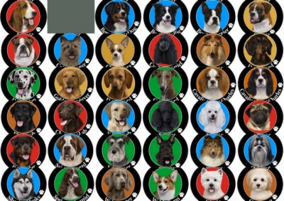 Hundeauto Magnet rund - verschiedene Hunderassen