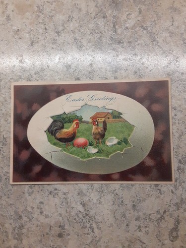 Easter Greetings 1909 Postcard Roosters in Broken Egg Farmyard Embossed Germany