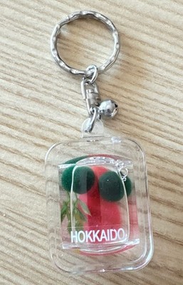 HOKKAIDO 2 Marimo Clear Plastic Silver Metal Keychain Pink Water Japan Souvenir