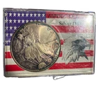 1996 American Eagle Silver Dollar, toned, in original plastic case