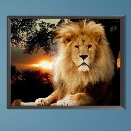 Lion Oil Paint By Numbers Kit Canvas Drawing DIY Coloring Picture for Adult ~G - Picture 4 of 8