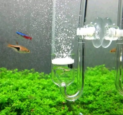 Glas Aquarium CO2 Zerstäuber Diffusor mit Keramikscheibe Rückschlagventil Saug.