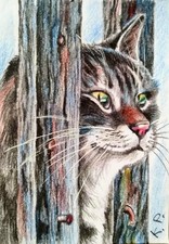 ACEO cat watercolor pencil by the author original 3,5"х2,5" 9x6cm not print