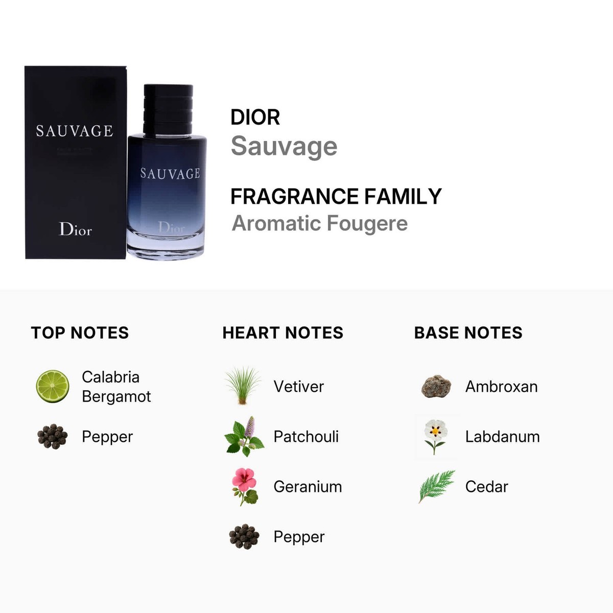Sauvage / Christian Dior EDT Spray 
