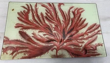John Derian Co. Red Seaweed Decoupage Glass Plate Signed 7 X 11 Rare