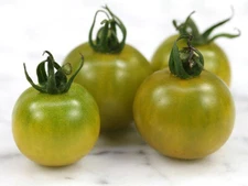 15 FAT FROG  MICRO DWARF TOMATO SEEDS ~ AREOGARDEN ~ 2025 ~ NON-GMO