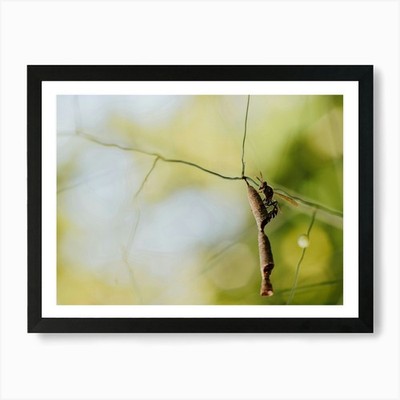 Insekt auf einem Ast Kunstdruck gerahmt Wandbild Poster Leinwanddruck Bild