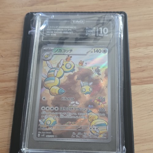 The Pokémon Company Dudunsparce Art Rare Holo 083/071 Snow Hazard