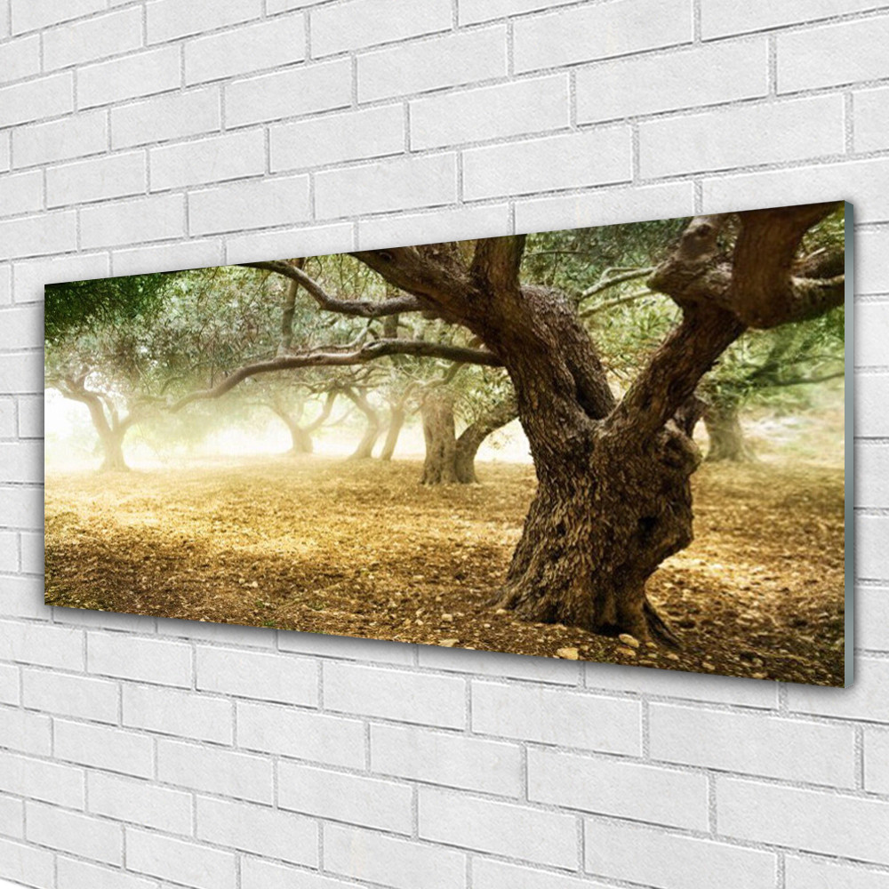 Impression sur verre acrylique image tableau 125x50 panorama nature verte