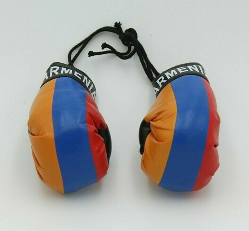 High Quality Country Flag MINI BOXING GLOVES - Rear View Mirror Gloves - New - Picture 24 of 134