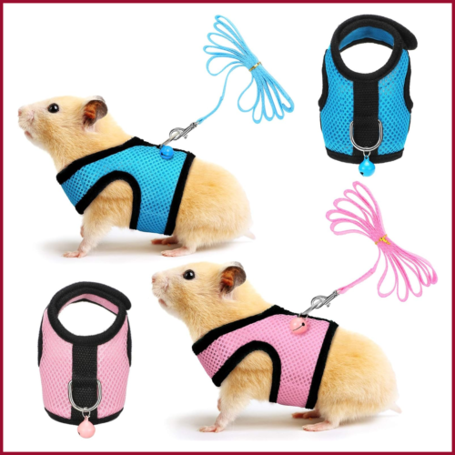 Small Harness Leash Guinea Pig Baby Ferret Rats Hamster Rabbit 2pc w/Bell