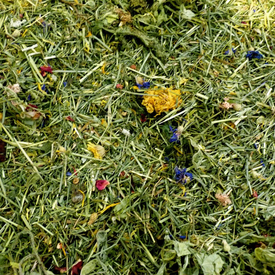 KOMODO - HAPPY PET *Tortoise Edible Bedding Food Readi Grass Flower & Plant Botanical Herbs Leaves