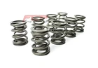 FCP VALVE DOUBLE SPRINGS FOR AUDI / VW 1.9 TDi (NON PD / CR) RENN-VENTILFEDERN