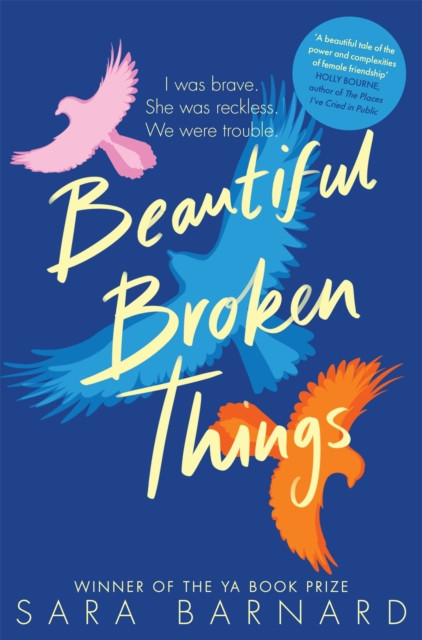 Beautiful Broken Things by Sara Barnard (Paperback Book)