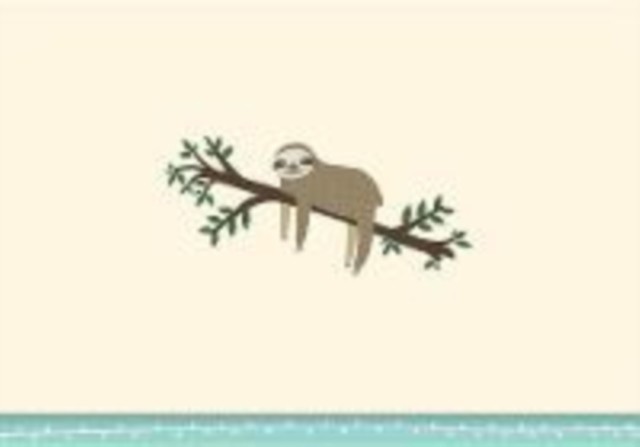 Sloth Note Cards by Inc. Peter Pauper Press - 9781441328083 - Image 5