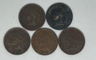 1880 1896 1899 1905 1909 Indian Head Cent Lot of 5