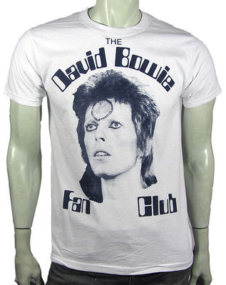  Punk Glam Rock David Bowie Ziggy Stardust Aladdin Sane von Sexy Hooligans
