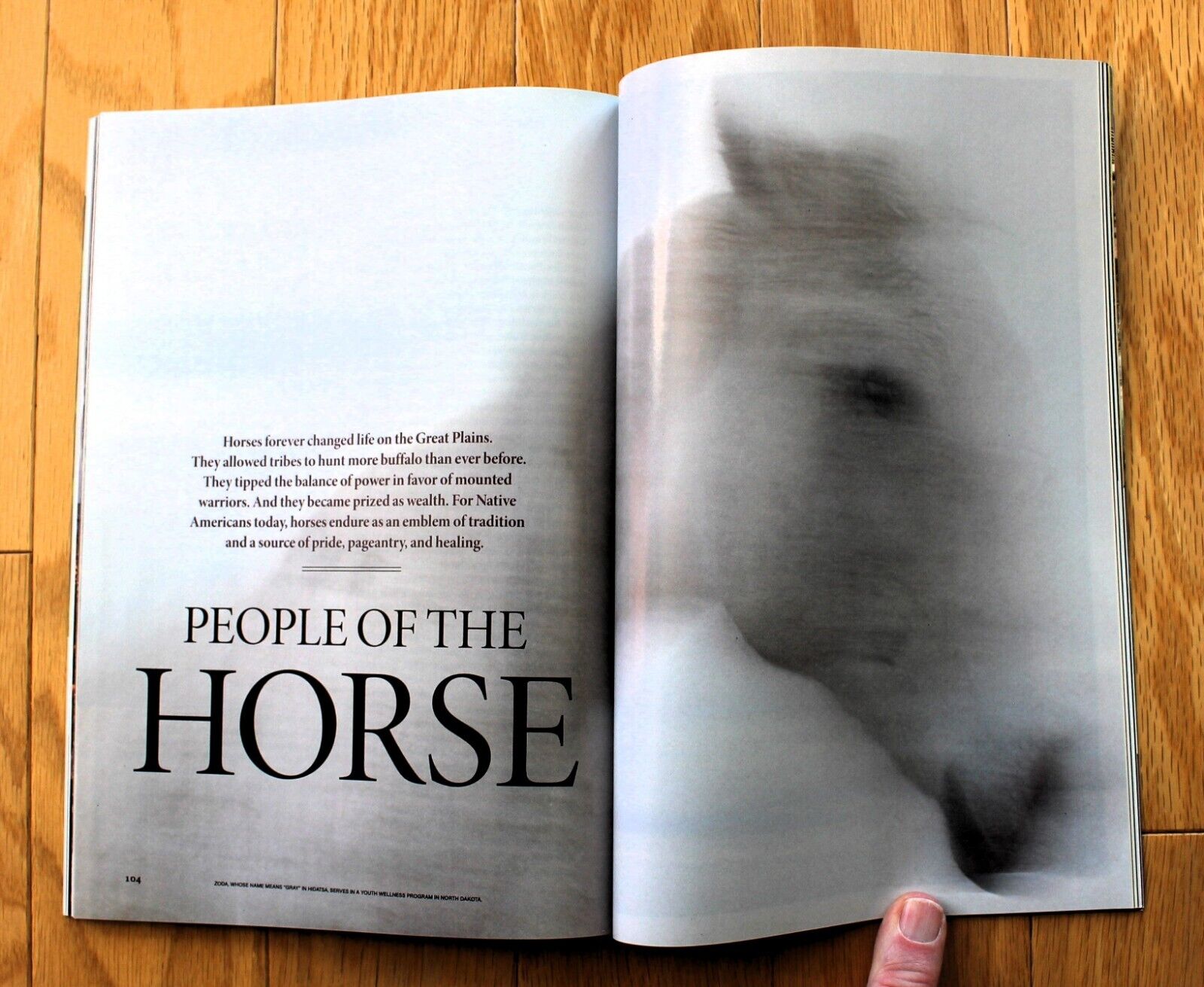 National Geographic March 2014; Black Holes; Syria; Tuna; New Zealand; Horses