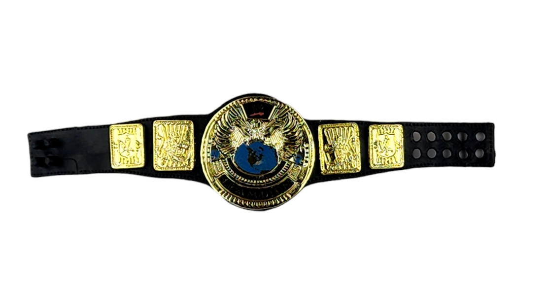 Mattel You Pick Belt Restocked Weekly