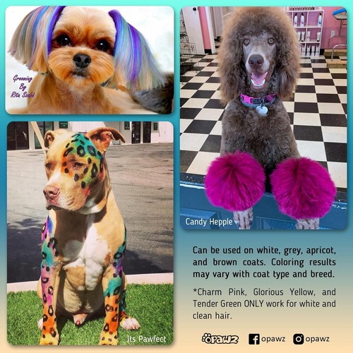 Permanent Dog Hair Dye, Pet Hair Dye Safely Used by Grooming Salons for a Decade - Picture 13 of 15