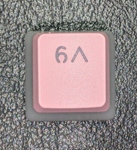 Picture 12 of 55
