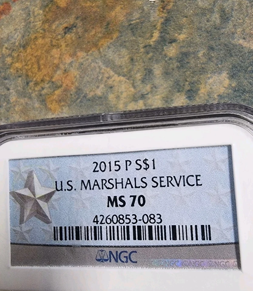 2015 P  MS 70 NGC U.S. Marshals Service Commemorative Silver Dollar (#16409) E1 - Image 3 of 4