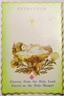 Flowers from Holy Land Placed on Manger Bethlehem Baby Jesus Crib Relic Christ