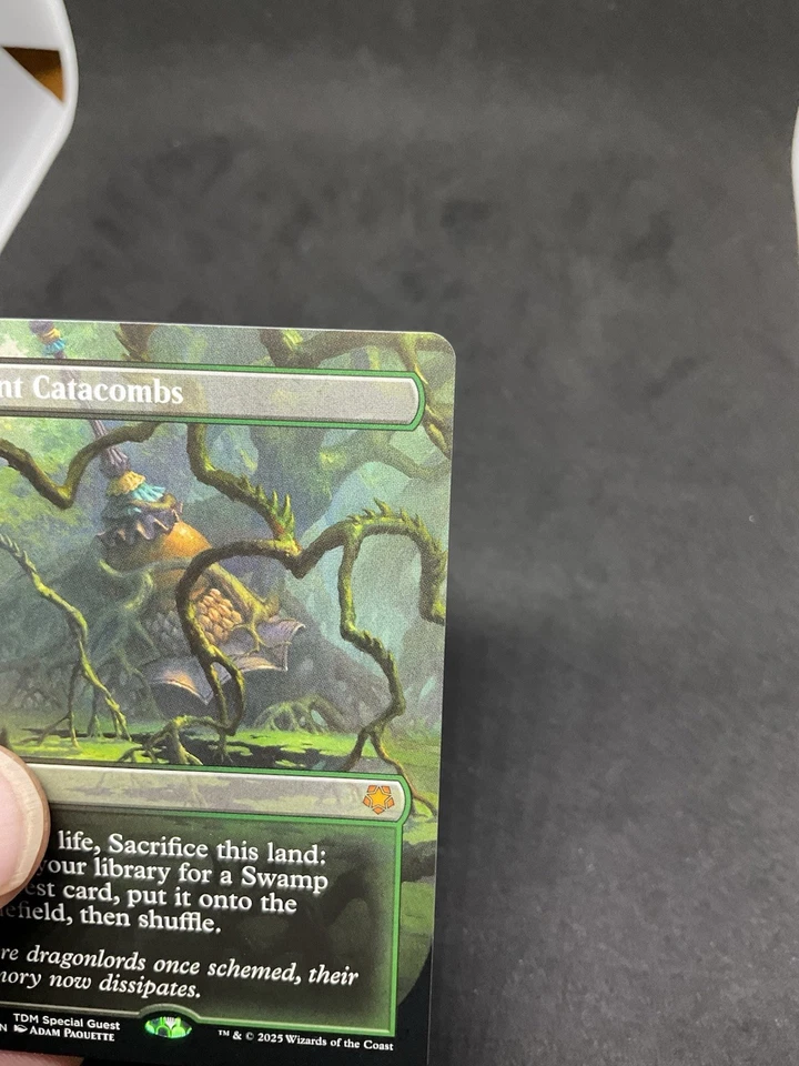 Verdant Catacombs (Borderless) Special Guests Regular MTG 0113 - Image 2 of 4