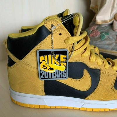 nike dunk iowa