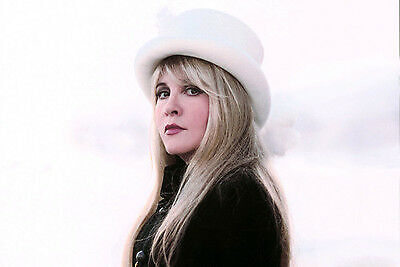 Stevie Nicks 11x17 Mini Poster