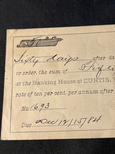 I.O.U. a cheque de colección 1894 a Banking House of Curtis Wachtel & Co Petoskey Michigan - Imagen 2 de 7