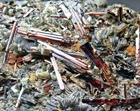 RUTILE clinochlor crystals crystal KRUMLTAL Rauris Pinzgau Salzburg AUSTRIA