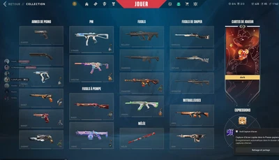 Compte Valorant peak platine 1 half of agent buy - Photo 1/2