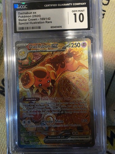 Dachsbun ex graded CGC 10 for sale on eBay