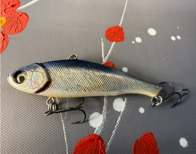 Maria Ba-Lu Mar Amigo Sea Bass Lure MA80 WCBK 24g / RARE / Made in Japan (00328)