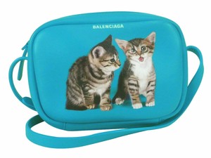 balenciaga kitten