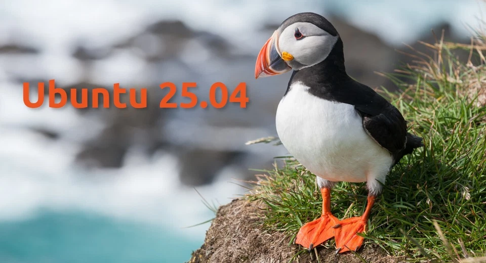 Ubuntu 25.04 Desktop Bootable USB Live/Installer – Experience Cutting-Edge Linux - Image 2 of 4