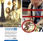 Elijah Wood signed "LORD OF THE RINGS" 8x10 Photo f EXACT PROOF Frodo ACOA COA