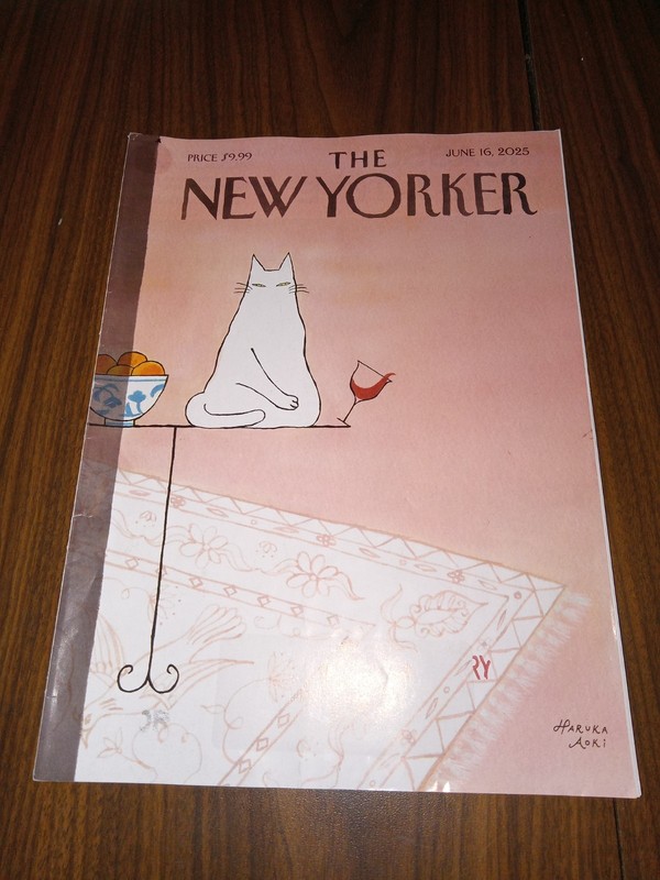 The New Yorker Magazine June 16, 2025 "Nothing to See" by Haruka Aoki Cat New