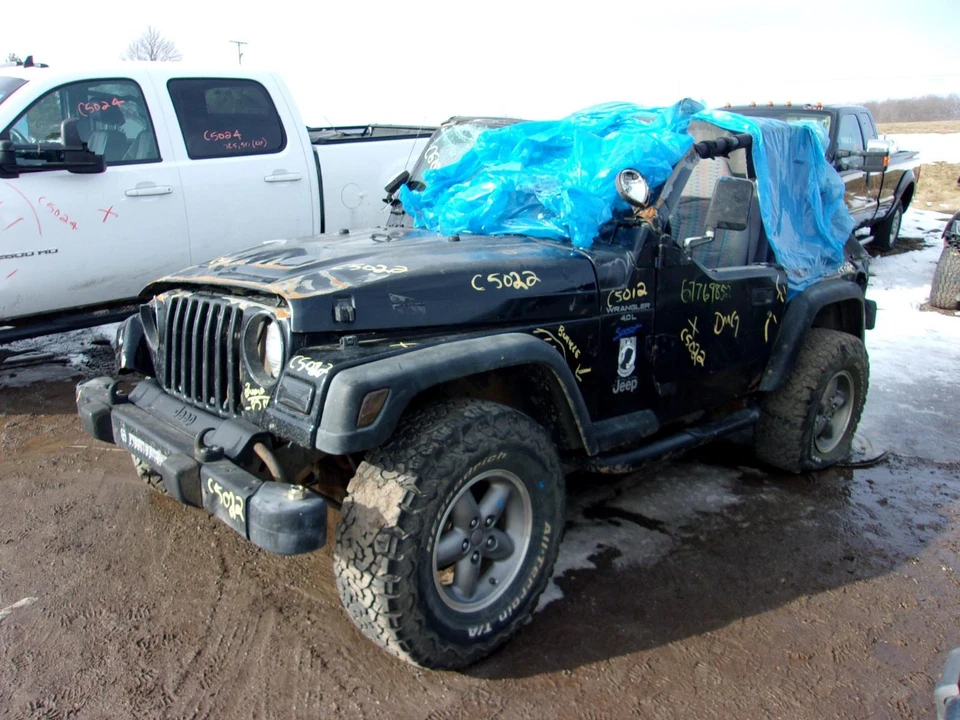 Conjunto de filtro de aire usado se adapta a: Jeep Wrangler 1997 grado A Foto 2 de 4