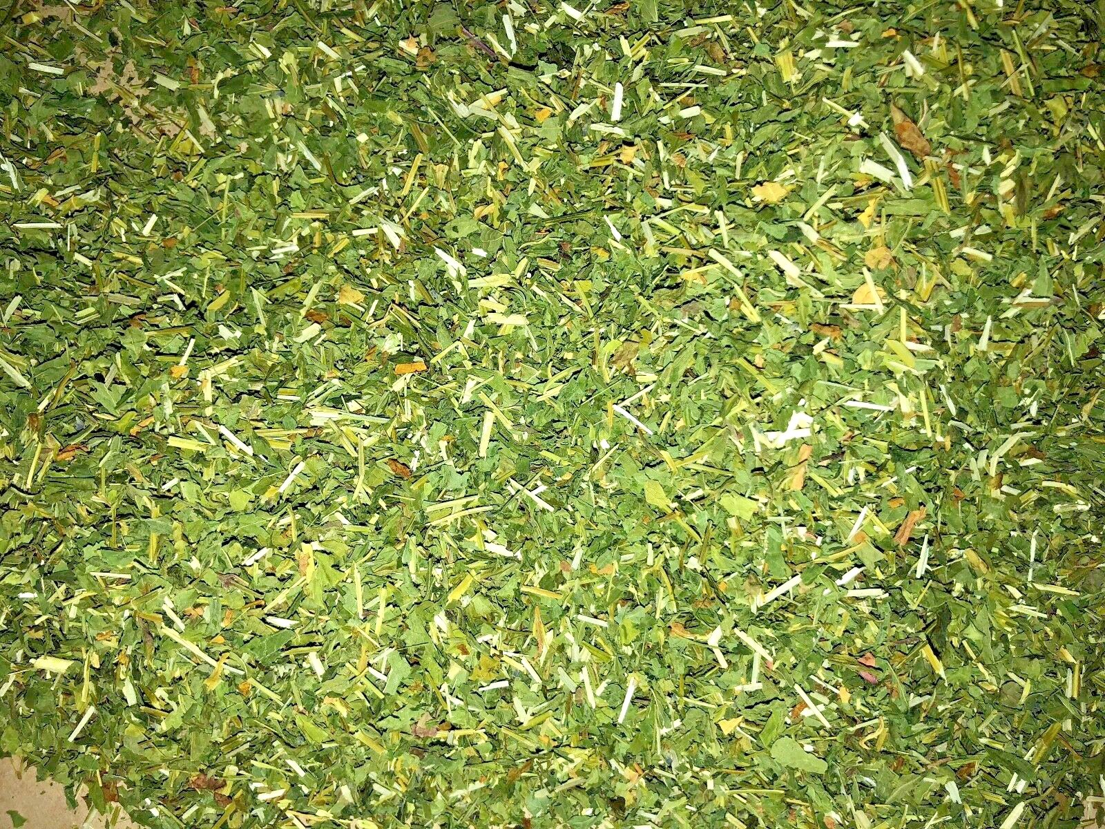 Quality Mad Dog Weed Blue Skullcap Leaf (Certified Organic) eBay