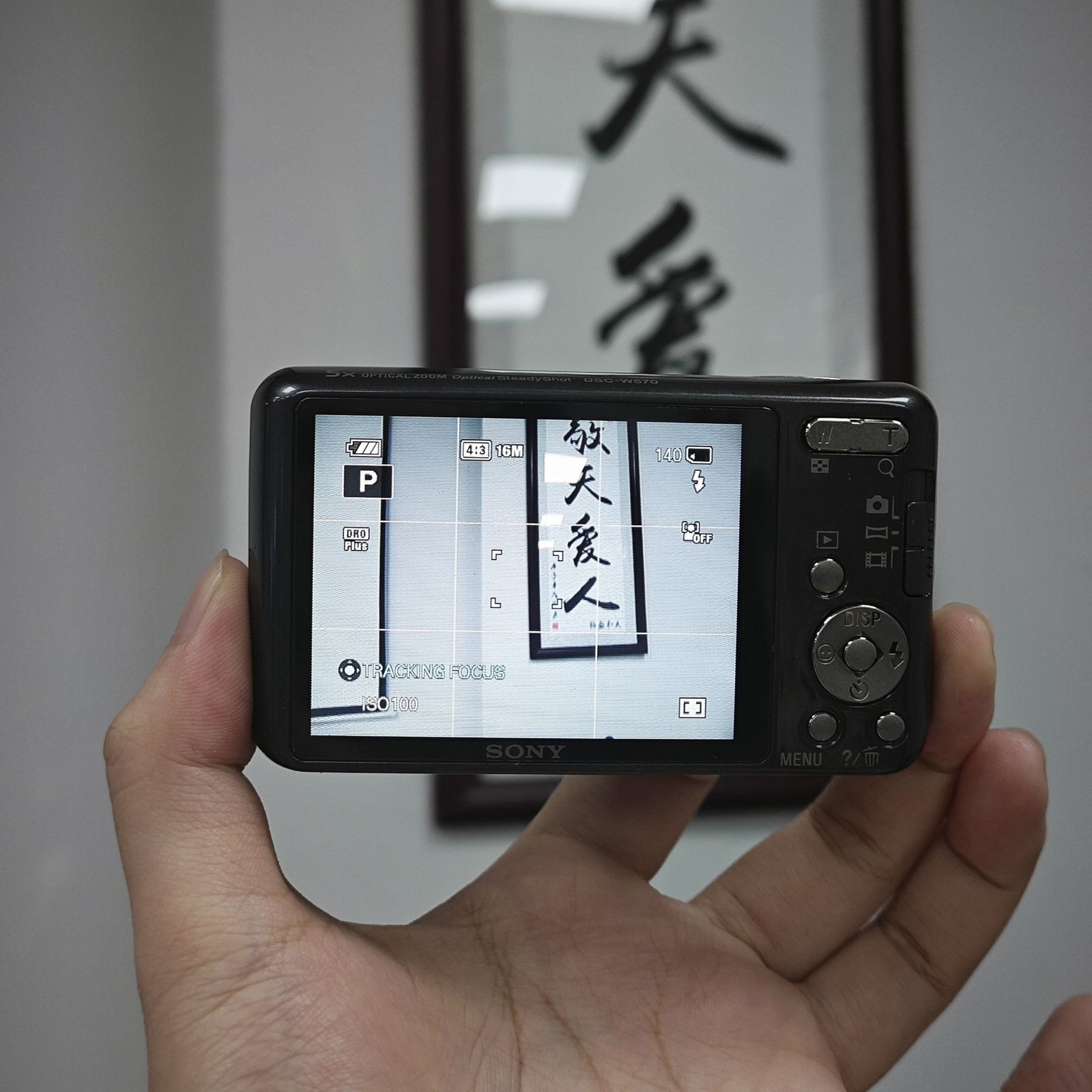 SONY Cyber-shot DSC-W570 Silver Digital Camera 16.1 MP 5x Optical Zoom English